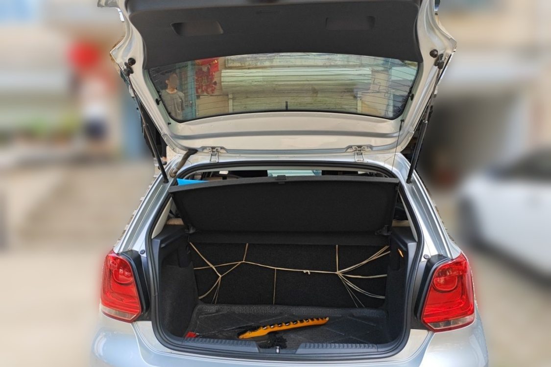 Volkswagen Polo 2013 car image #8
