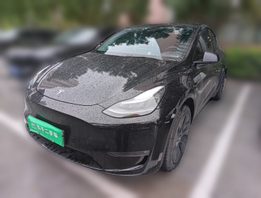 Tesla Model Y 2024 car image 