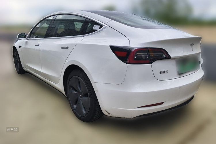 Tesla Model 3 2020 car image #5