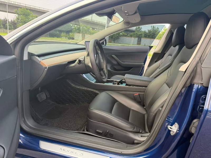 Tesla Model 3 2020 car image #6