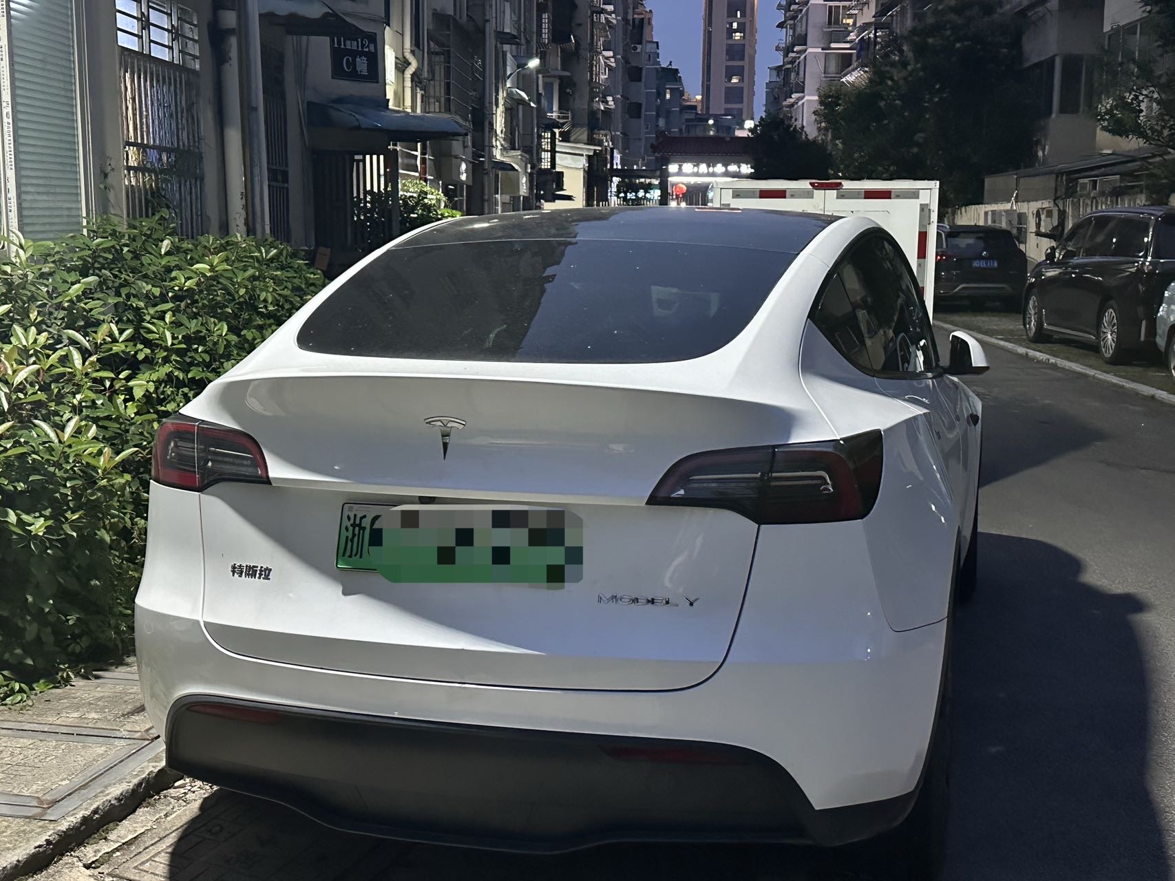 Tesla Model Y 2024 #6 Tesla Model Y 2024 car image #6