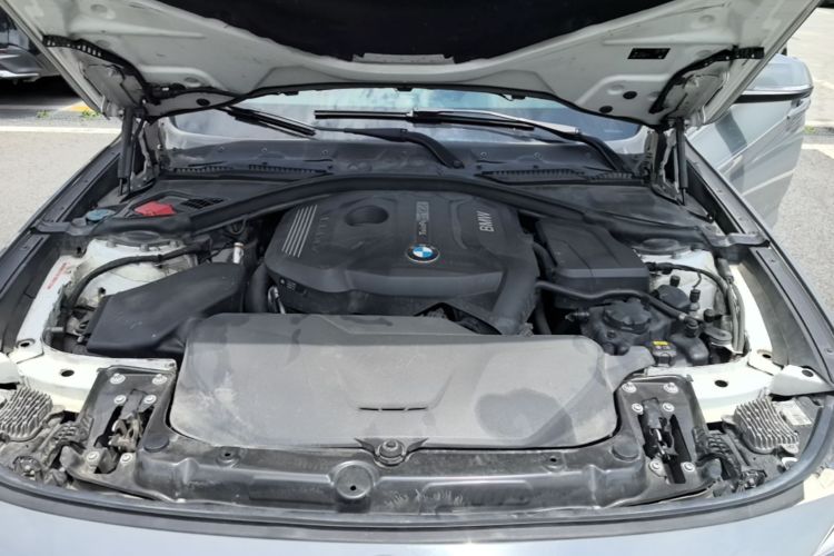 BMW 3 Series GT 2018 car image #20