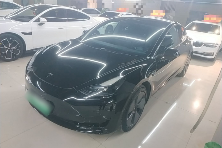 Tesla Model 3 2022 car image #2