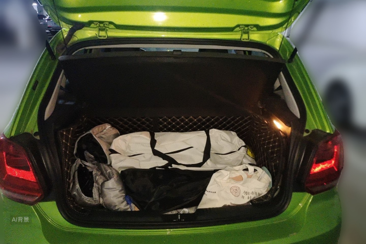 Volkswagen Polo 2014 car image #21
