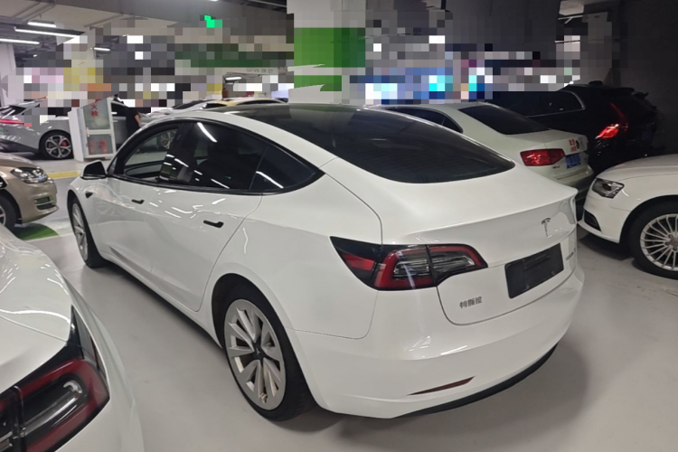 Tesla Model 3 2021 #5 Tesla Model 3 2021 car image #5