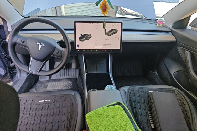 Tesla Model 3 2020 #10 Tesla Model 3 2020 car image #10