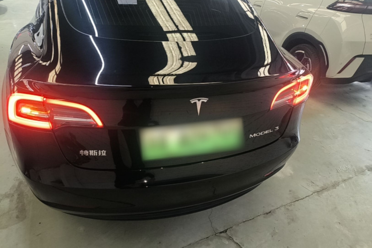 Tesla Model 3 2020 car image #6