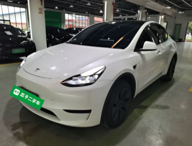 Tesla Model Y 2024 Tesla Model Y 2024 car image