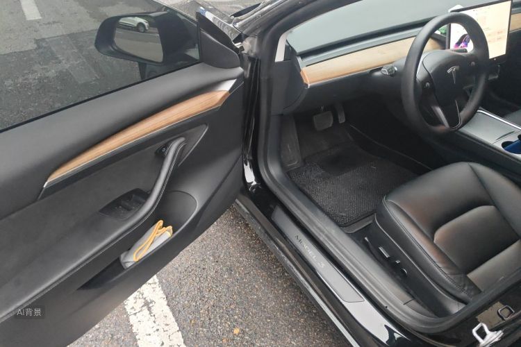 Tesla Model 3 2021 #18 Tesla Model 3 2021 car image #18