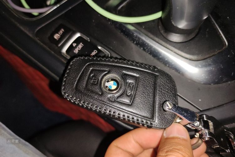 BMW 3 Series 2016 car image #10