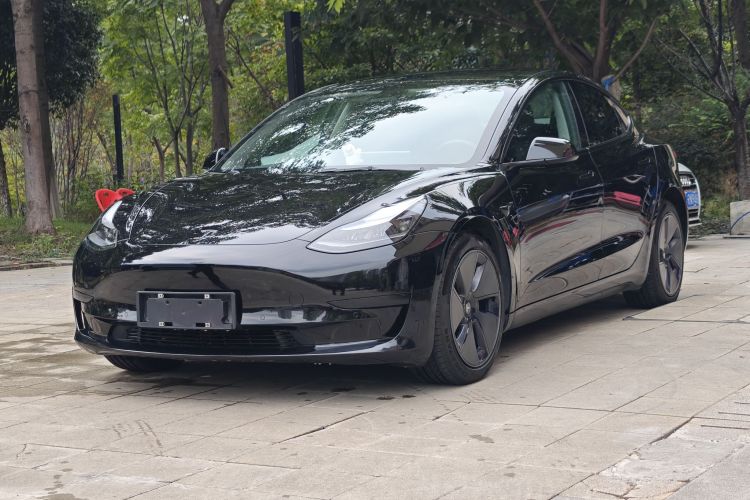 Tesla Model 3 2021 imagem de carro #2