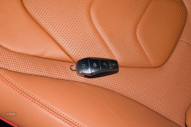 BYD Han 2022 car image #10