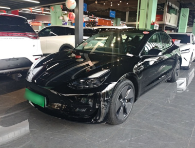 Tesla Model 3 2023 car image 