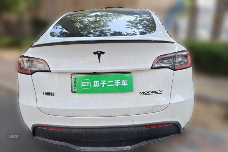 Tesla Model Y 2023 car image #6