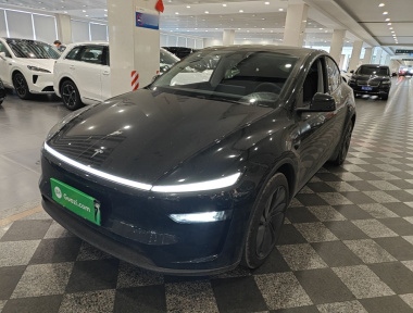 Tesla Model Y 2025 Tesla Model Y 2025 car image