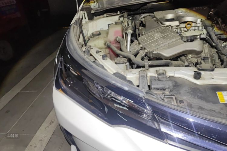 Toyota Corolla 2019 #8 Toyota Corolla 2019 car image #8
