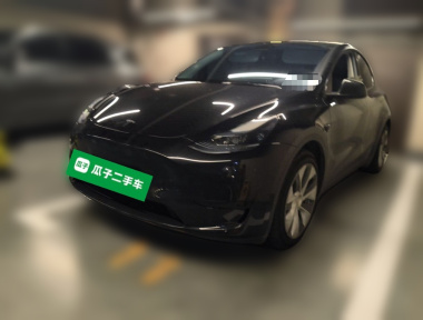 Tesla Model Y 2022 Tesla Model Y 2022 car image
