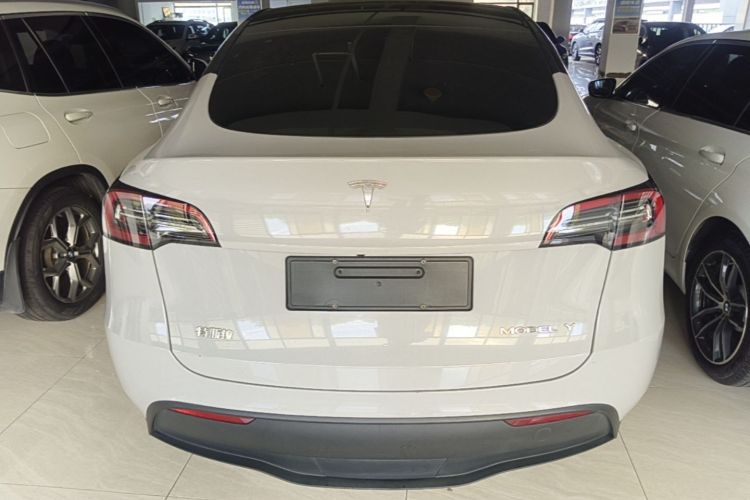 Tesla Model Y 2021 car image #6