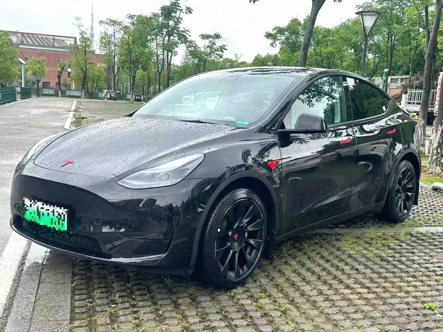 Tesla Model Y 2023 Tesla Model Y 2023 car image