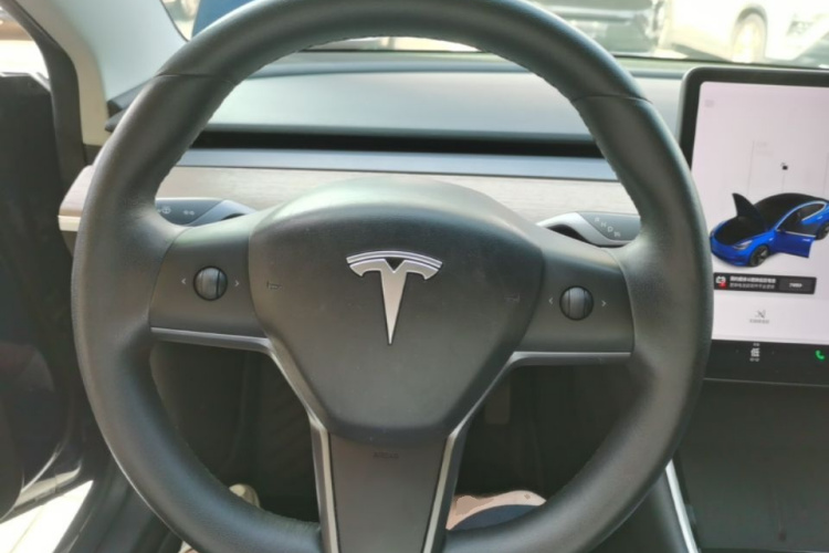 Tesla Model 3 2020 car image #11