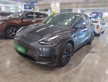 Tesla Model Y 2024 Tesla Model Y 2024 car image