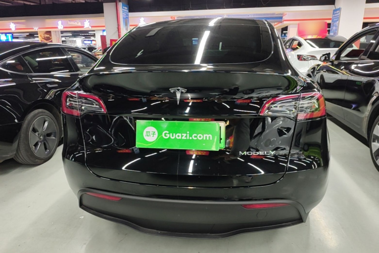 Tesla Model Y 2022 car image #6