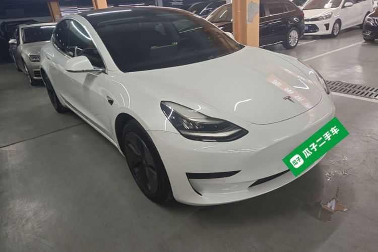 Tesla Model 3 2020 car image #4