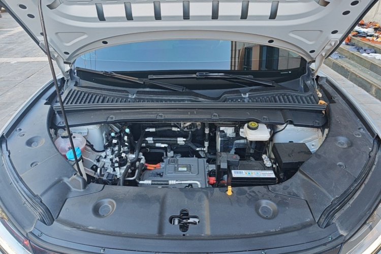 BYD YuanUP 2024 #20 BYD YuanUP 2024 immagine di auto #20