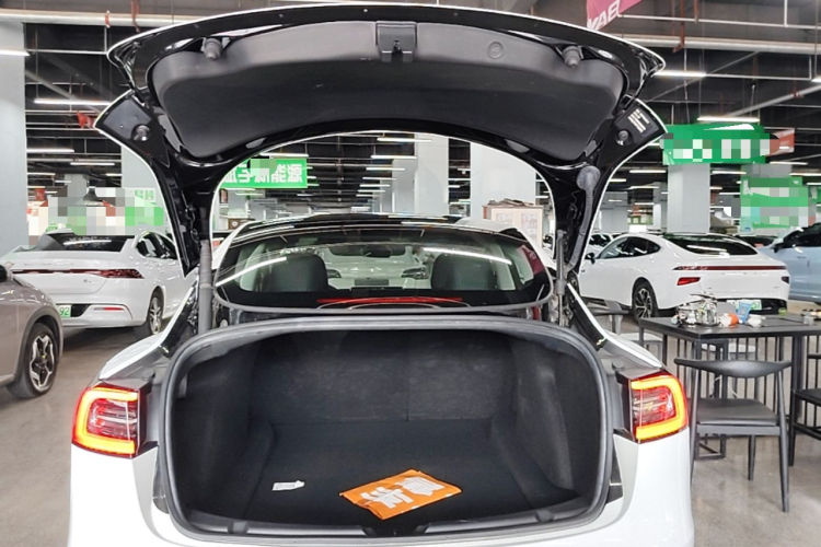 Tesla Model 3 2023 car image #19