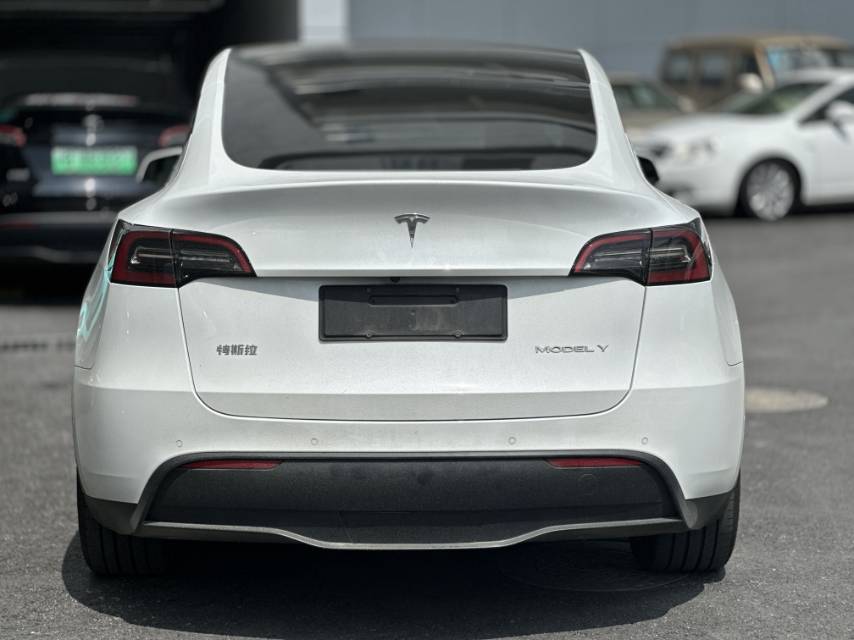 Tesla Model Y 2021 car image #8