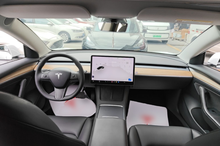 Tesla Model 3 2021 car image #10