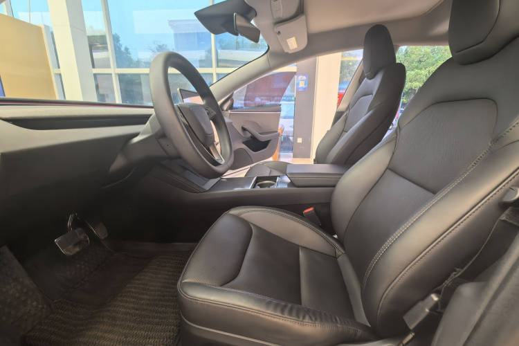 Tesla Model 3 2024 immagine di auto #11