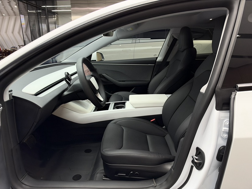 Tesla Model 3 2024 immagine di auto #2