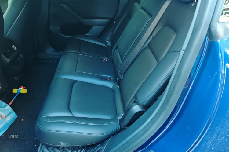 Tesla Model Y 2021 car image #19