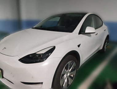 Tesla Model Y 2021 Tesla Model Y 2021 car image