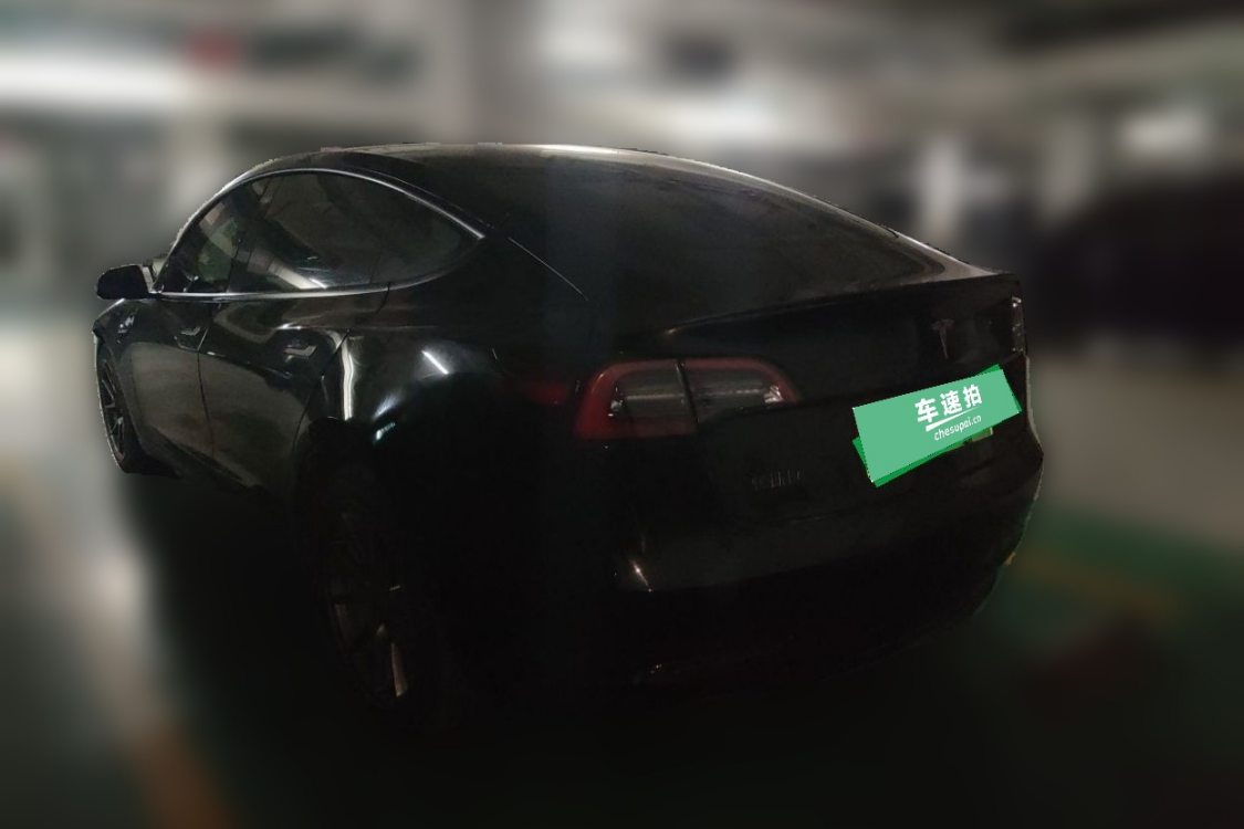 Tesla Model 3 2021 #3 Tesla Model 3 2021 car image #3