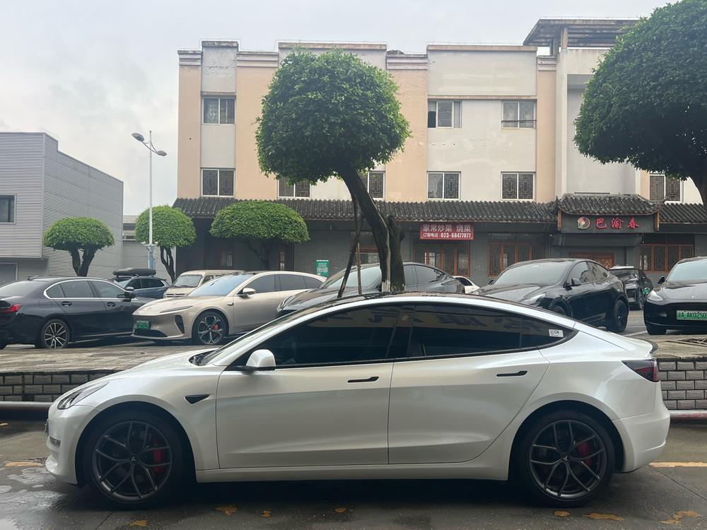 Tesla Model 3 2022 #3 Tesla Model 3 2022 car image #3