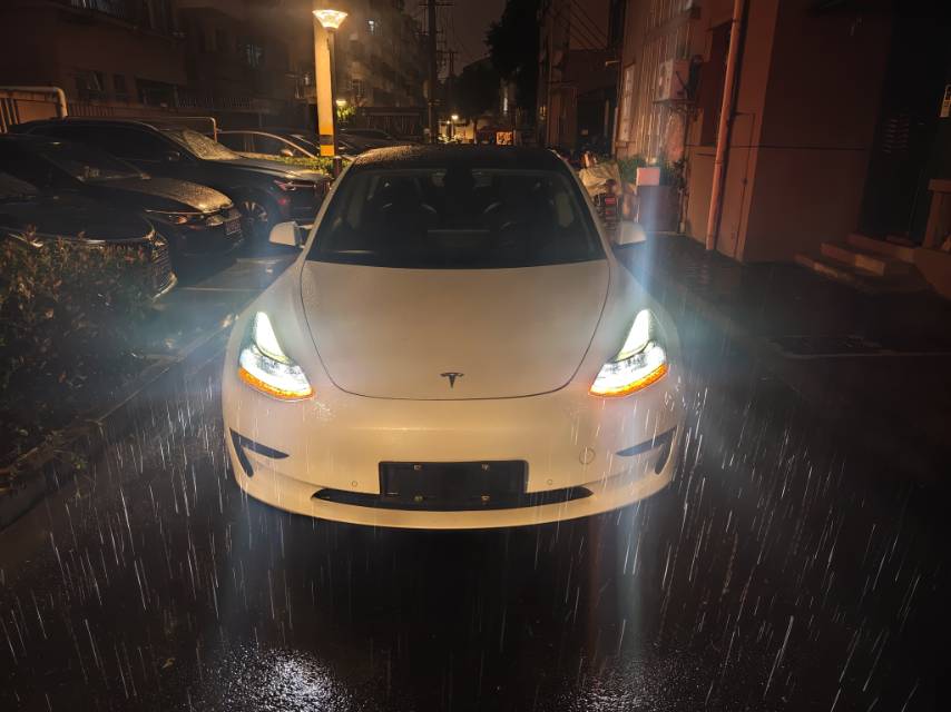 Tesla Model 3 2021 immagine di auto #2