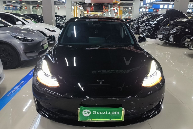 Tesla Model 3 2022 #3 Tesla Model 3 2022 car image #3