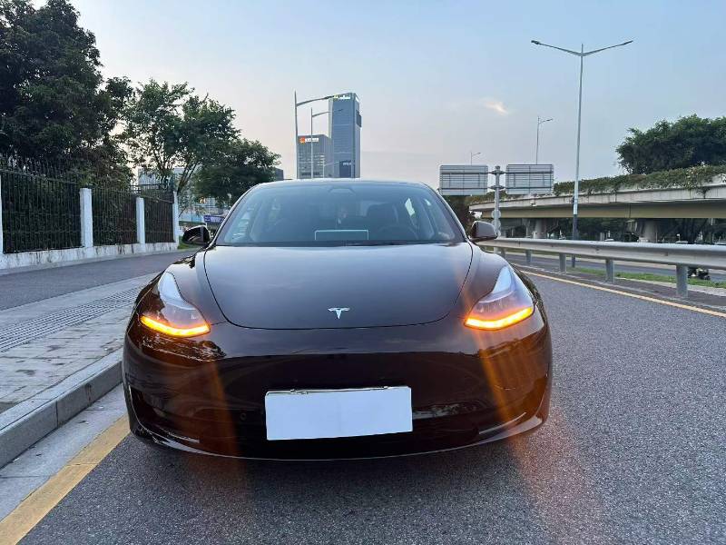Tesla Model 3 2022 #2 Tesla Model 3 2022 car image #2