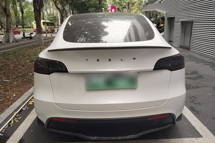 Tesla Model Y 2023 car image #6