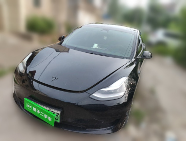 Tesla Model 3 2020 Tesla Model 3 2020 car image