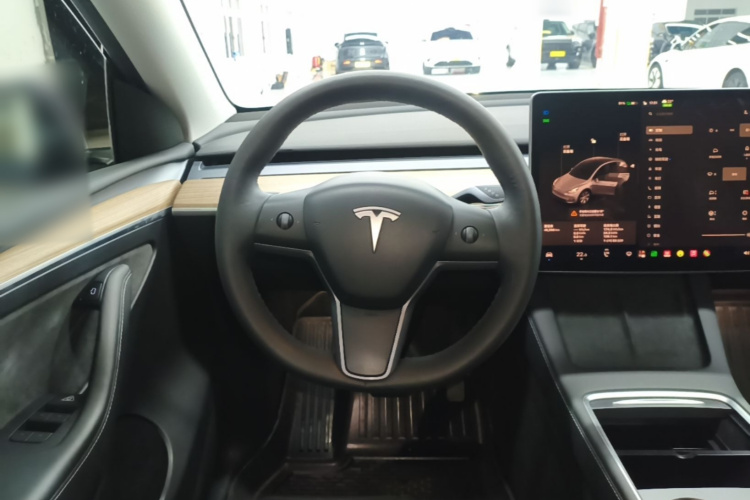 Tesla Model Y 2022 immagine di auto #11