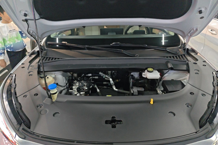 BYD Yuan Plus 2023 car image #20