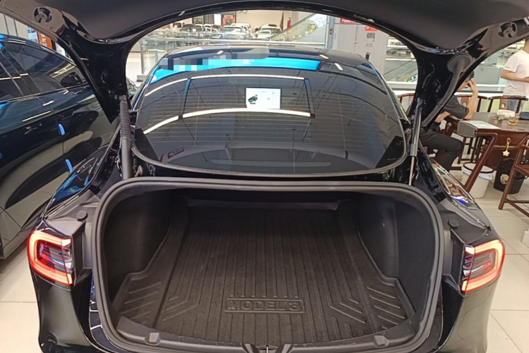 Tesla Model 3 2021 #19 Tesla Model 3 2021 car image #19