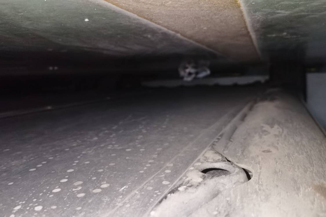 Tesla Model 3 2025 car image #15
