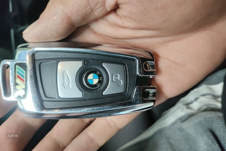 BMW 3 Series 2018 car image #10
