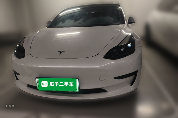Tesla Model 3 2021 immagine di auto #3