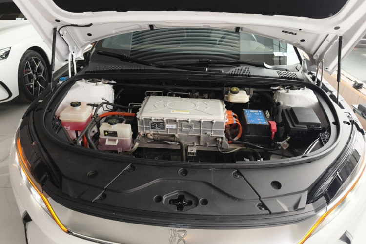 BYD Han 2022 #20 BYD Han 2022 immagine di auto #20