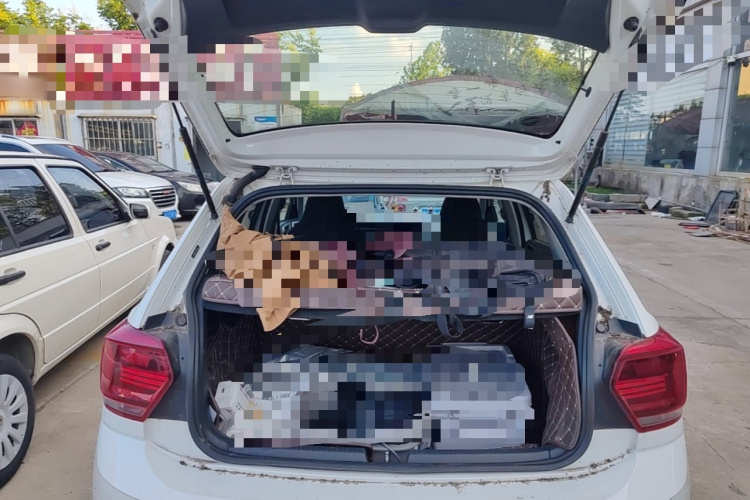 Volkswagen Polo 2019 car image #21